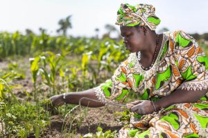 Project to Support the Reduction of Emigration in the Groundnut Basin of Senegal (PARERBA)